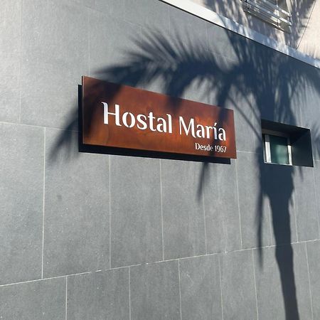 Hostal Maria Έλτσε Εξωτερικό φωτογραφία Hostel María